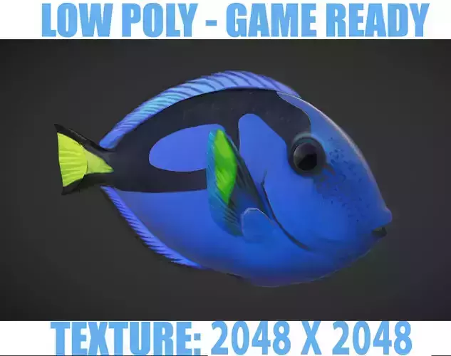 Fish Paracanthurus hepatus 1 Low-poly 3D model
