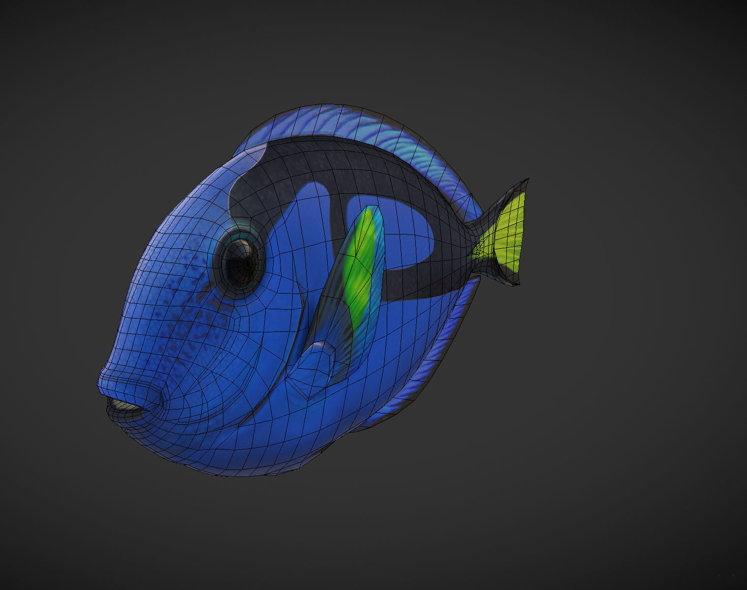 Fish Paracanthurus hepatus 1 Low-poly 3D model_8