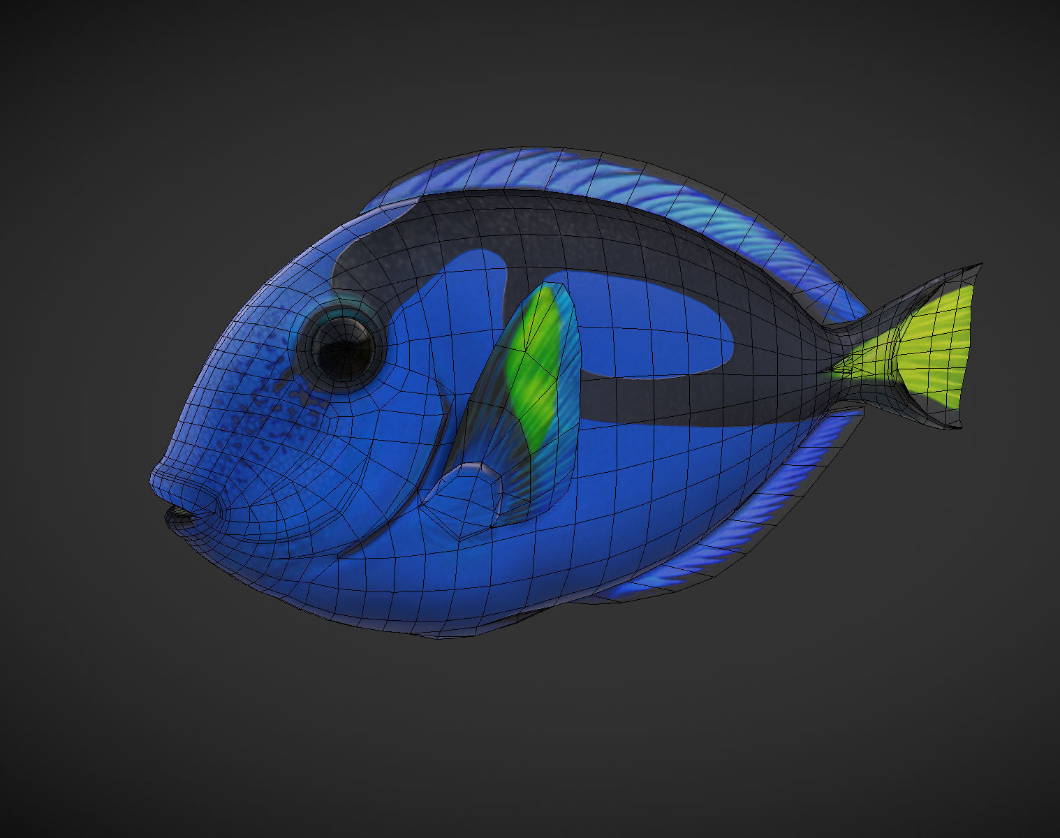 Fish Paracanthurus hepatus 1 Low-poly 3D model_6