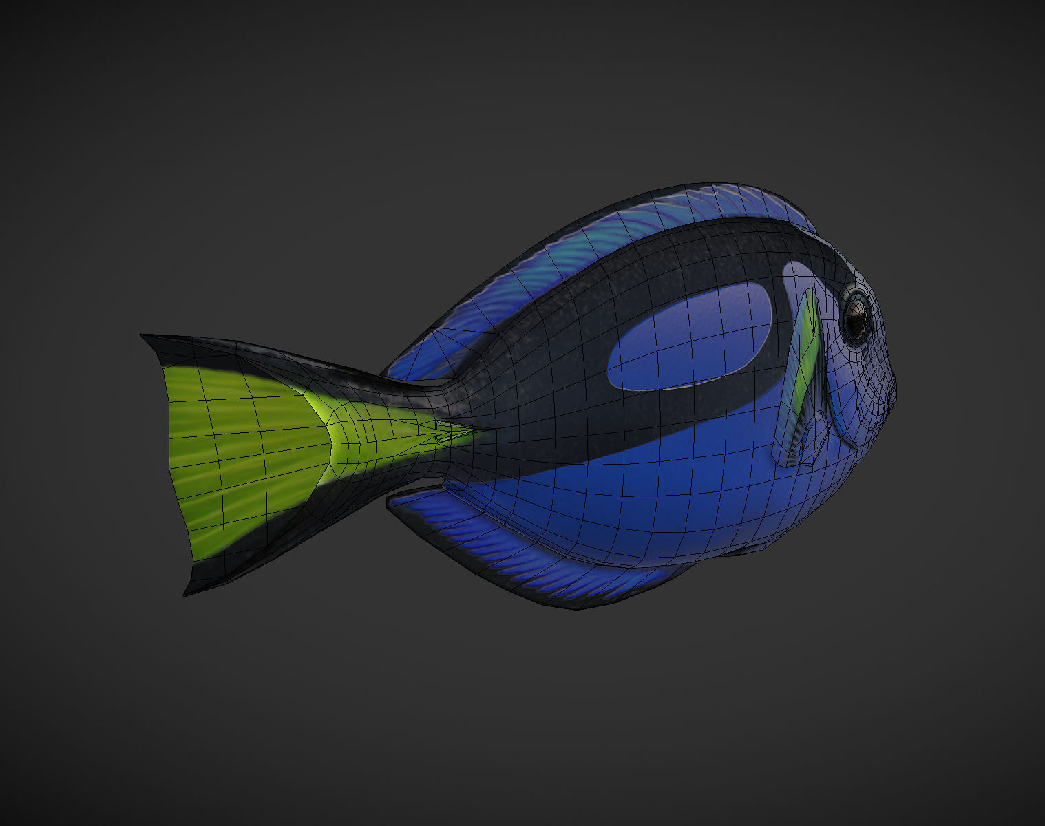 Fish Paracanthurus hepatus 1 Low-poly 3D model_9