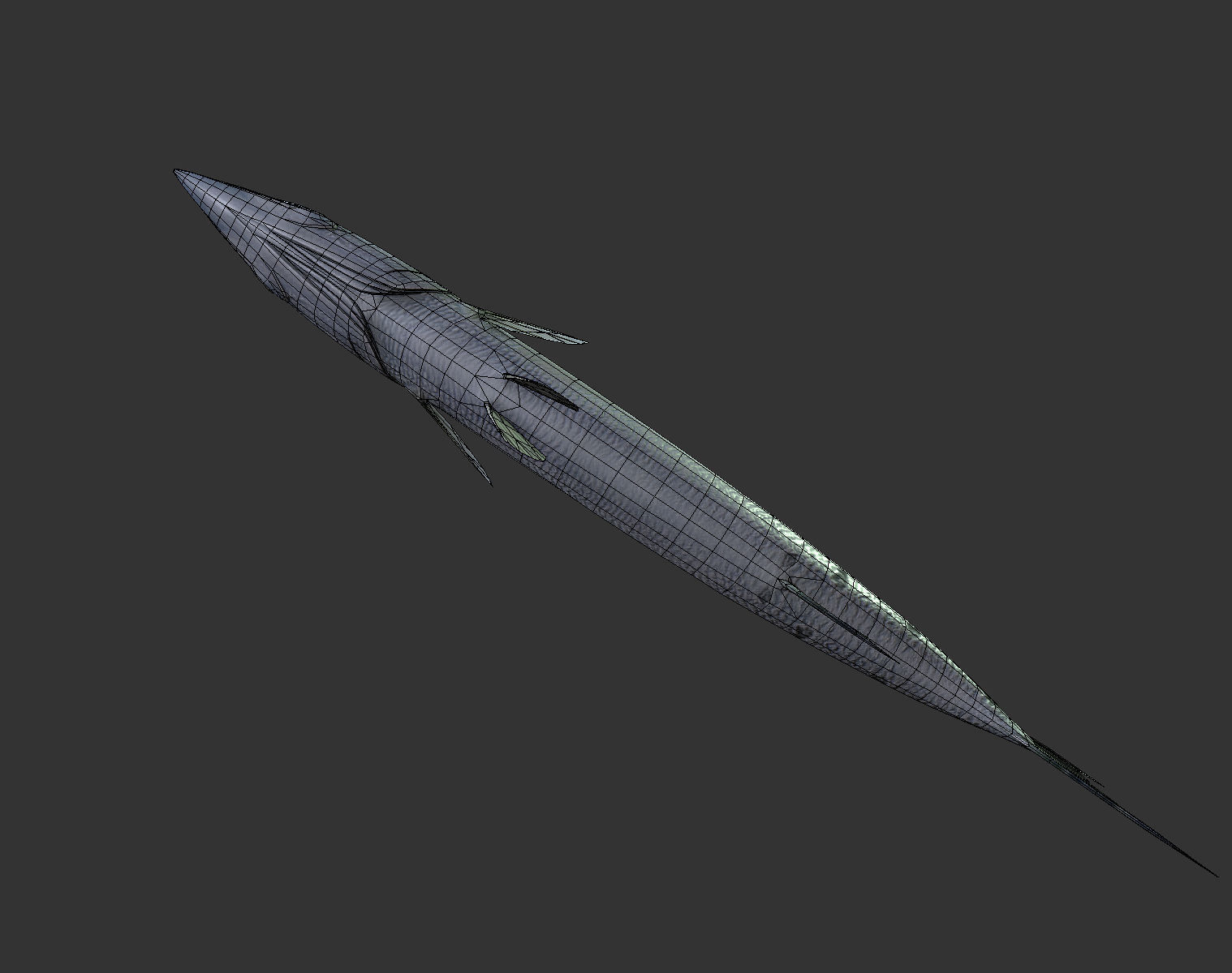 Barracuda mackerel fish Low-poly 3D model_4