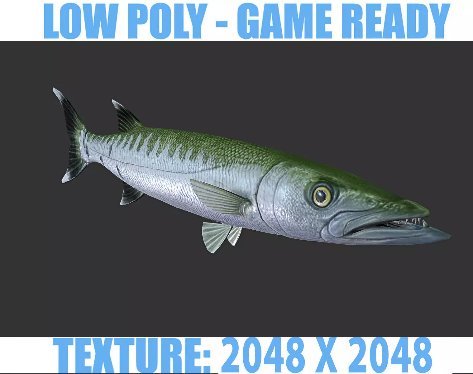 Barracuda mackerel fish Low-poly 3D model_0