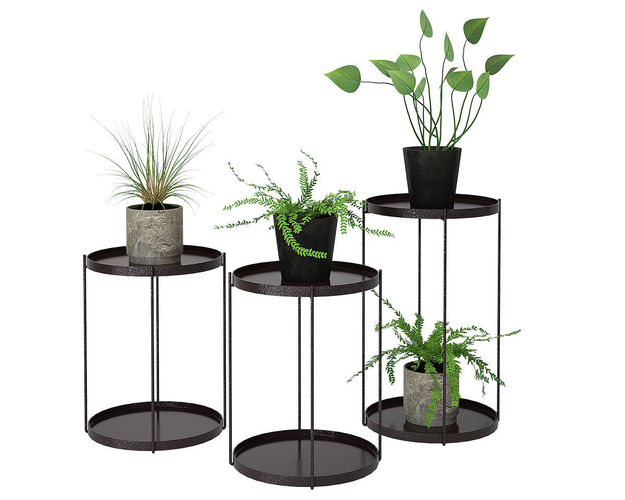 Plant 02 3D model