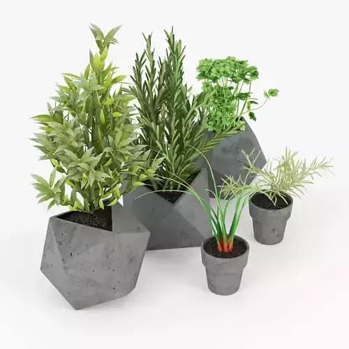 Concrete Kitchen Plants 3D model