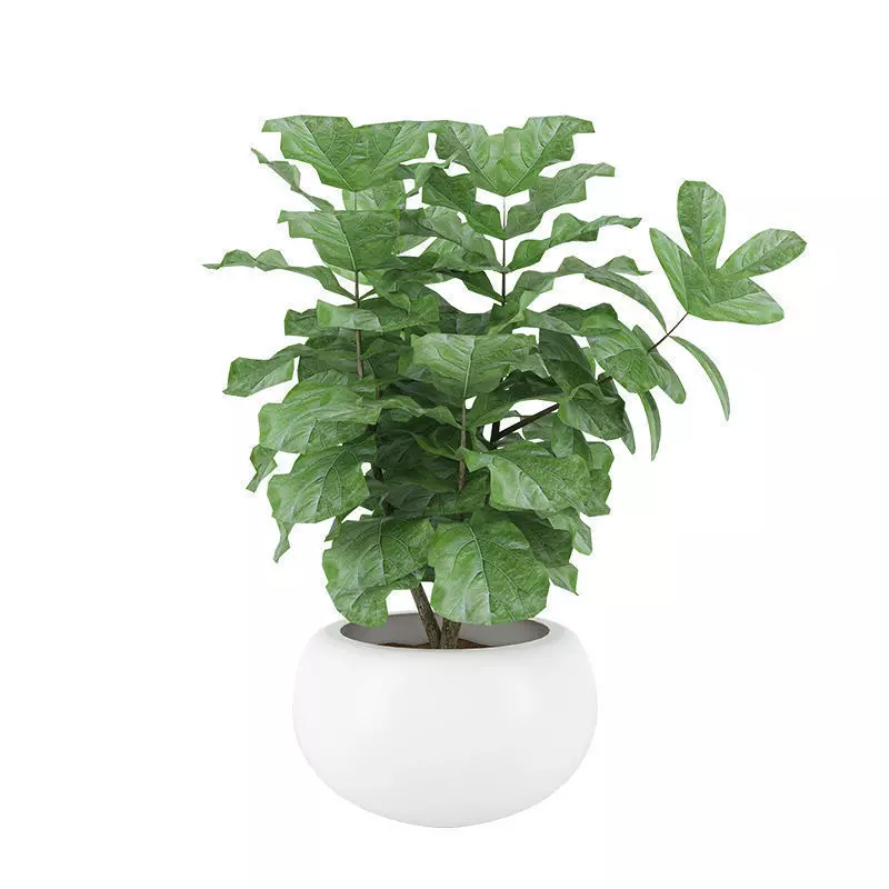 Plant 04 3D model_0