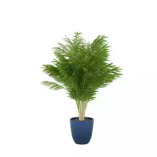Plant 05