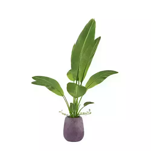 Plant 09 3D model