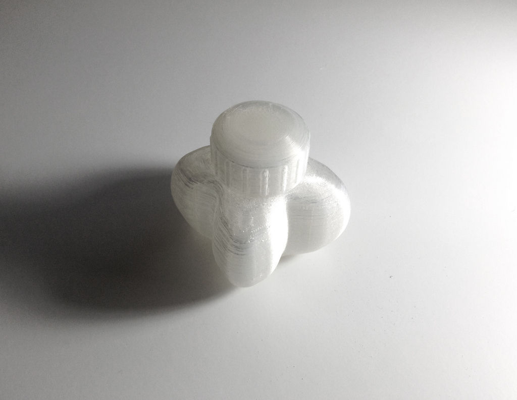 Bottle and Screw Cap 3D print model_2