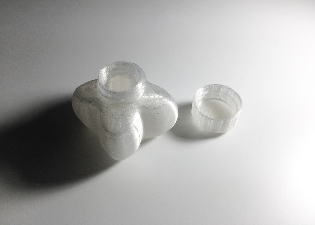 Bottle and Screw Cap 3D print model_6