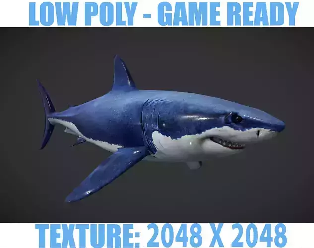 Shark great Low-poly 3D model