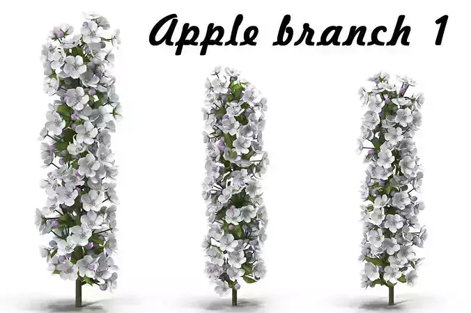 Apple branch 1