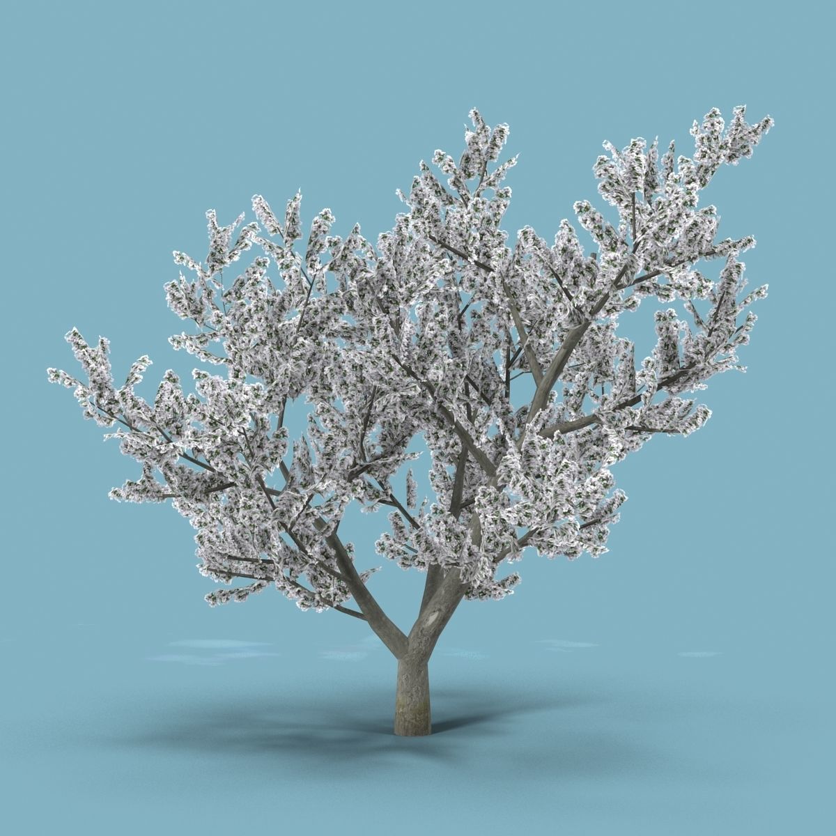 Apple tree Low-poly 3D model_4