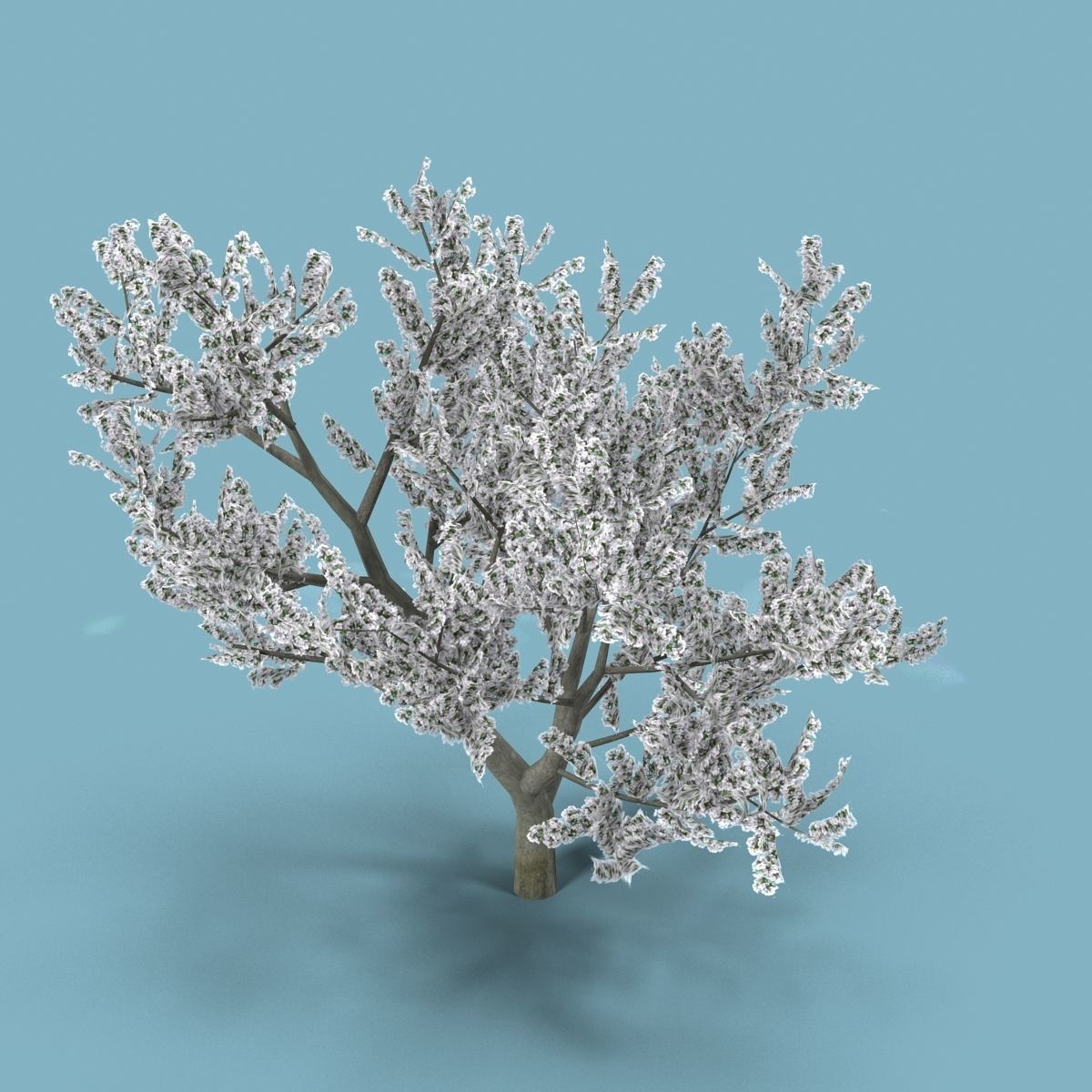 Apple tree Low-poly 3D model_6