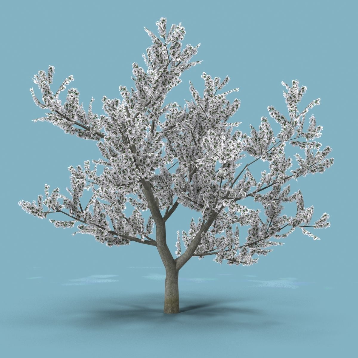 Apple tree Low-poly 3D model_5