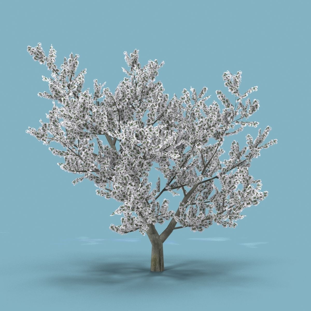 Apple tree Low-poly 3D model_7