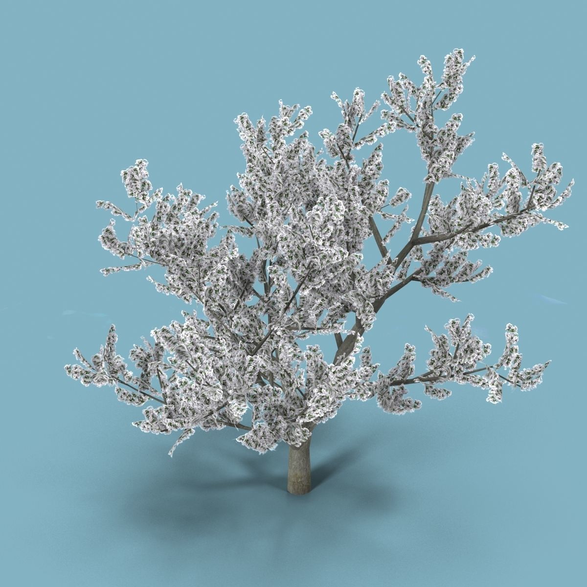 Apple tree Low-poly 3D model_2