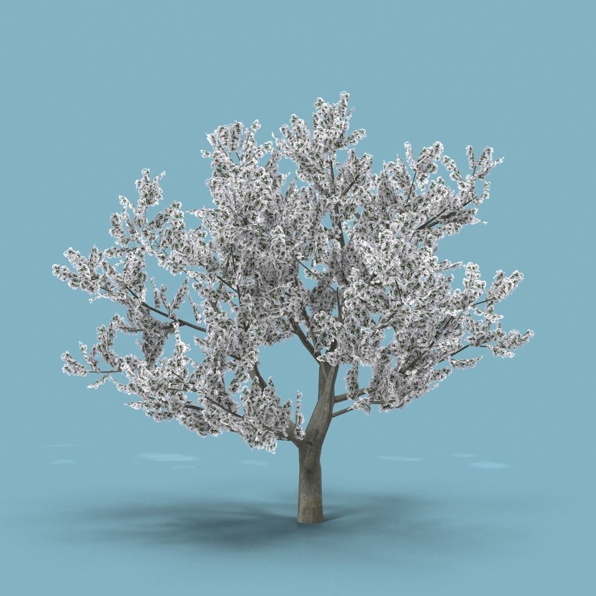 Apple tree Low-poly 3D model_1