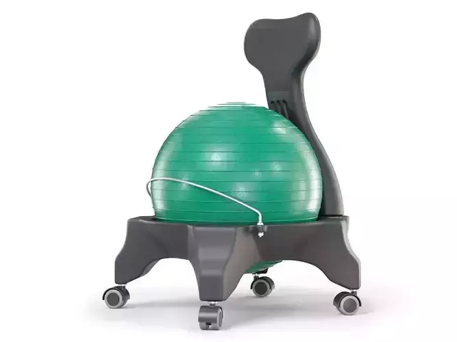 Gym Ball Office Chair