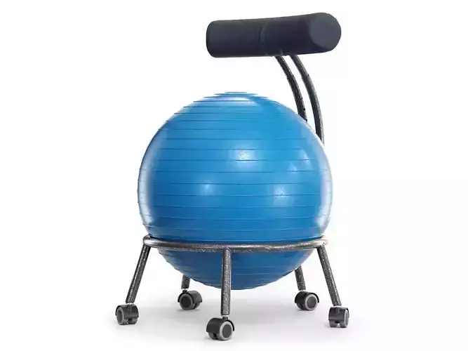 Yoga Ball Office Chair