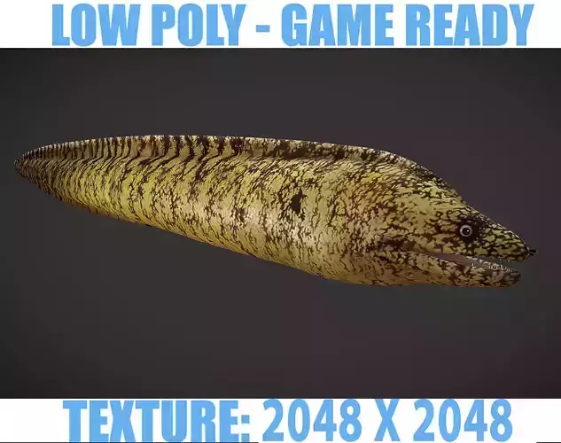 Lamprey eel