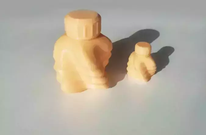 Bottle and Screw Cap