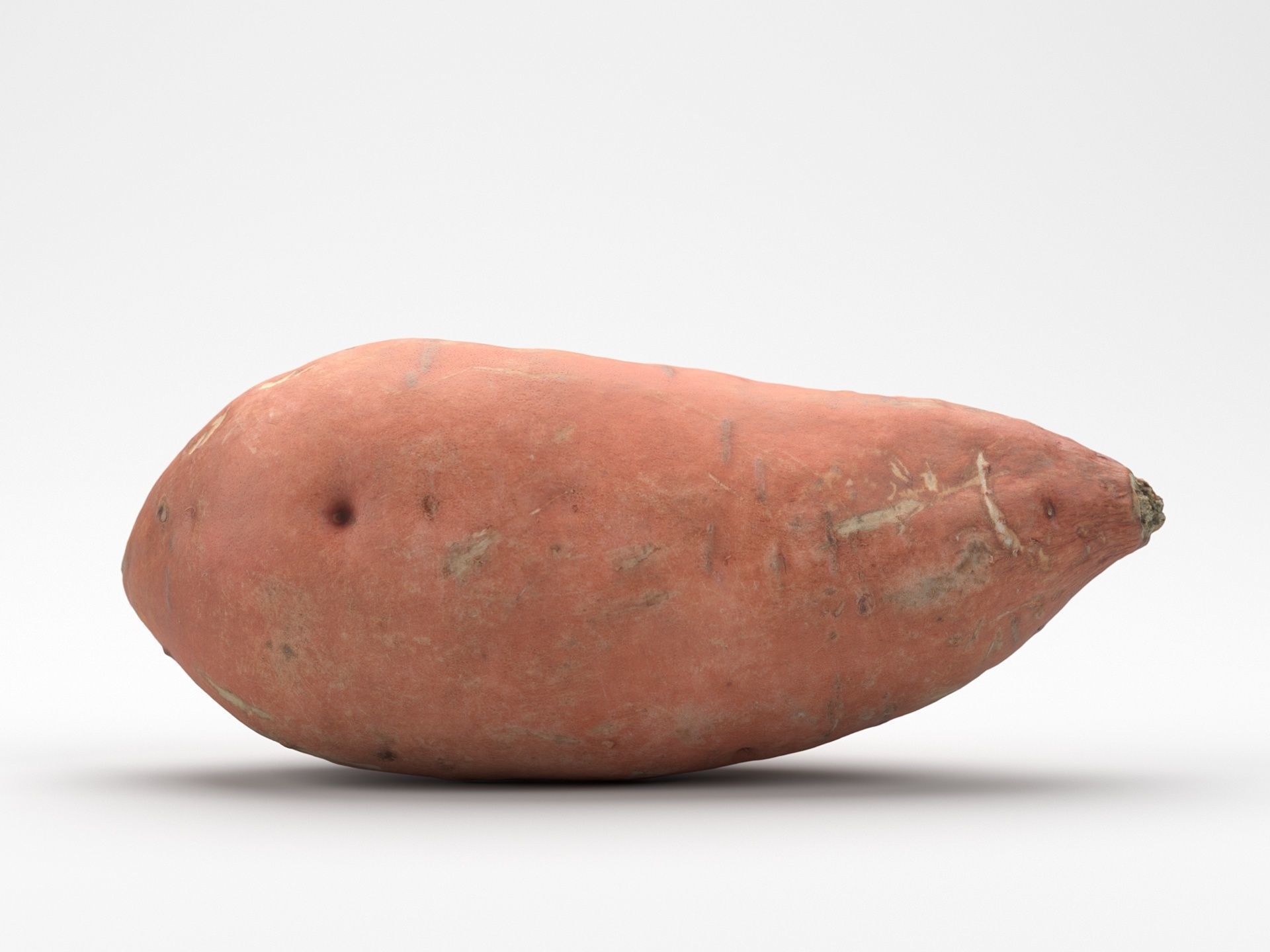Photorealistic Sweet Potato  3D Scan 3D model_1