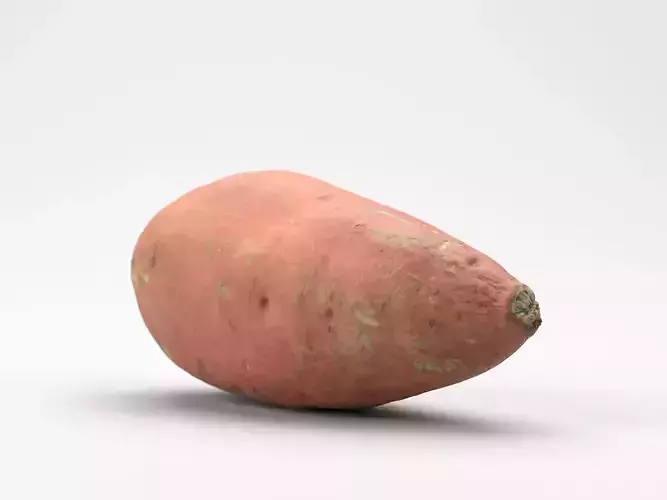Photorealistic Sweet Potato  3D Scan 3D model