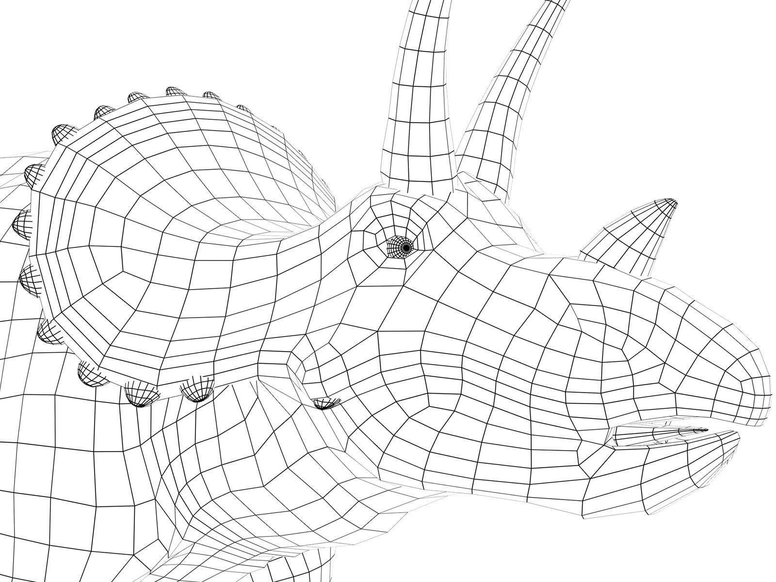 triceratops dinosaur Low-poly 3D model_10