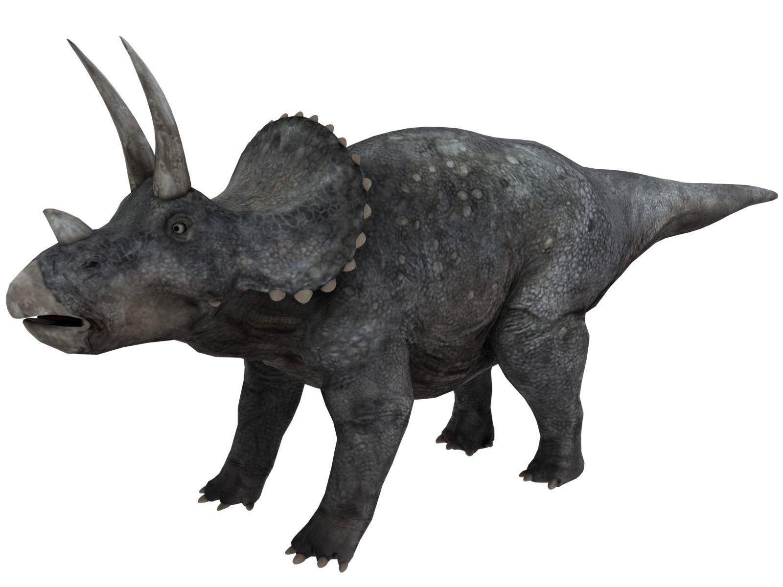 triceratops dinosaur Low-poly 3D model_2