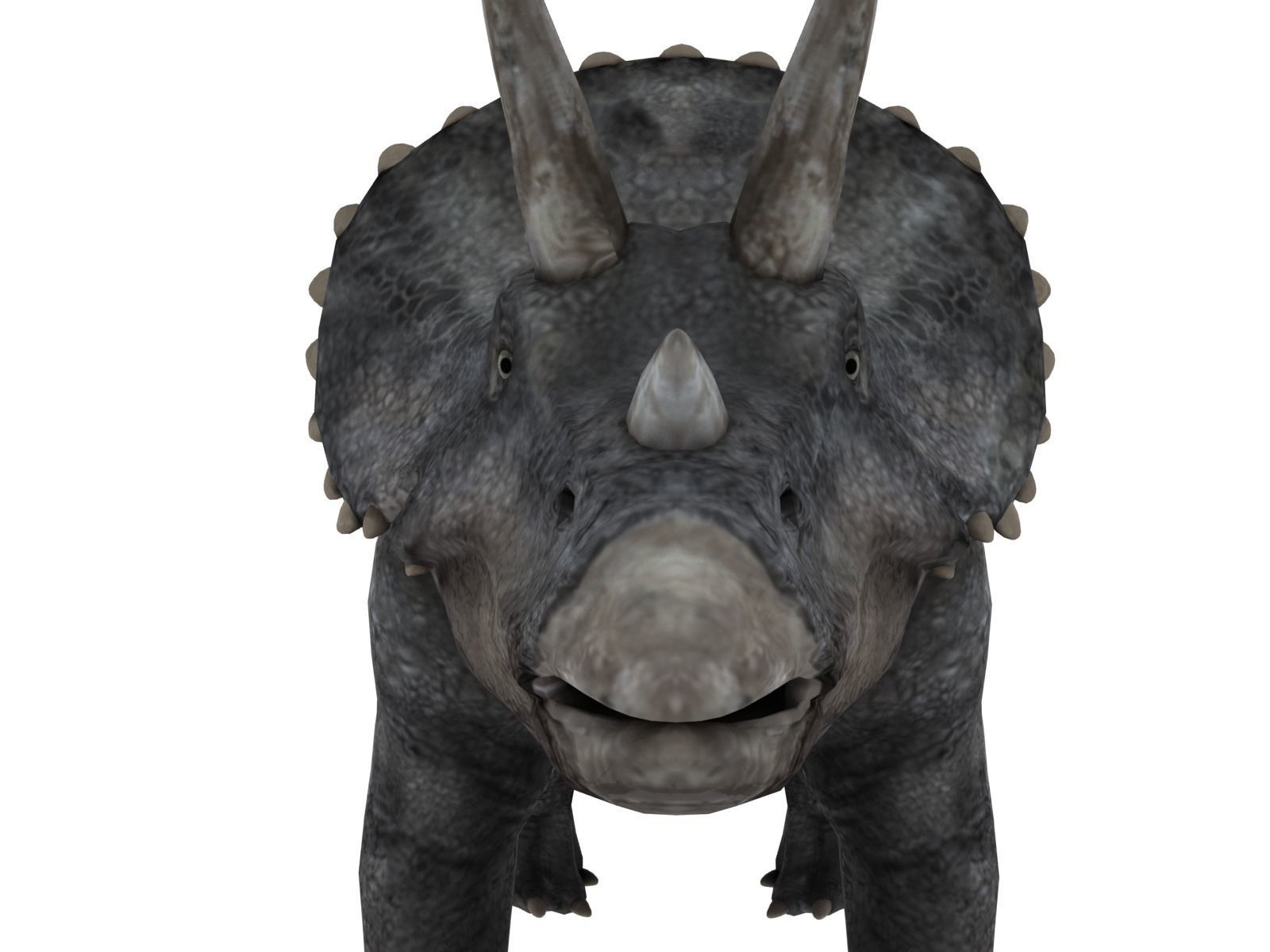 triceratops dinosaur Low-poly 3D model_1