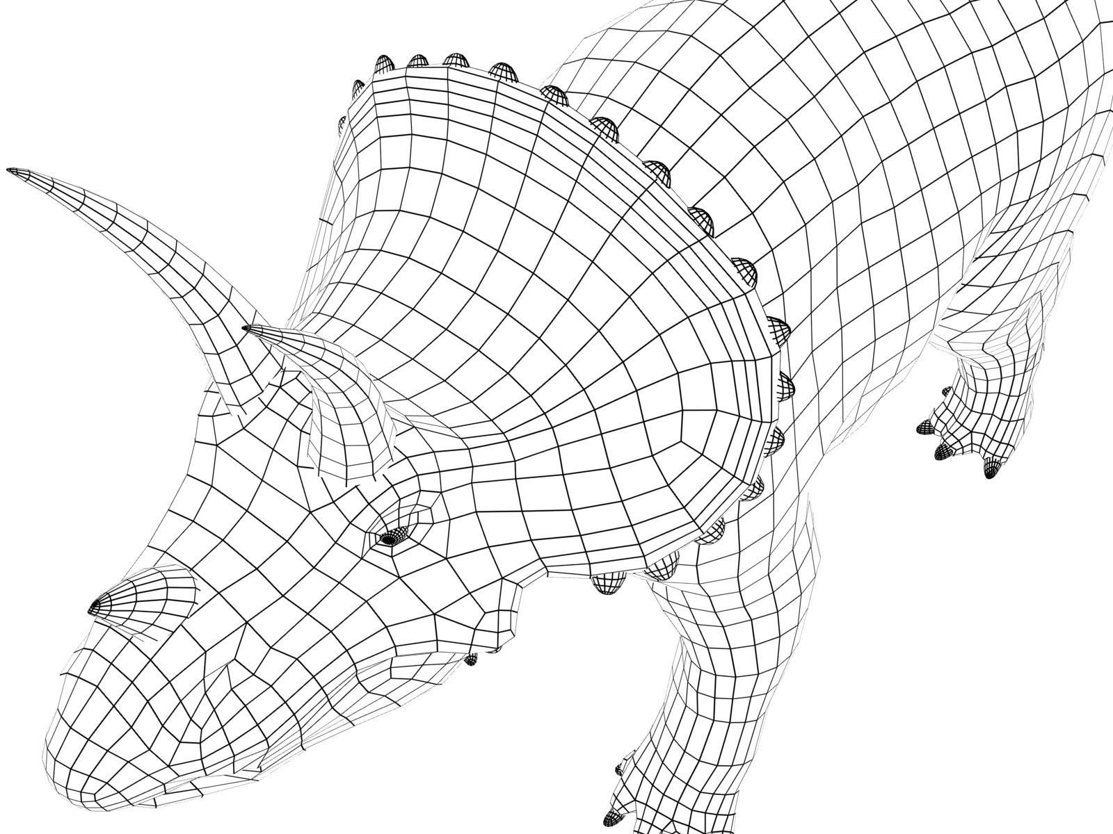 triceratops dinosaur Low-poly 3D model_8