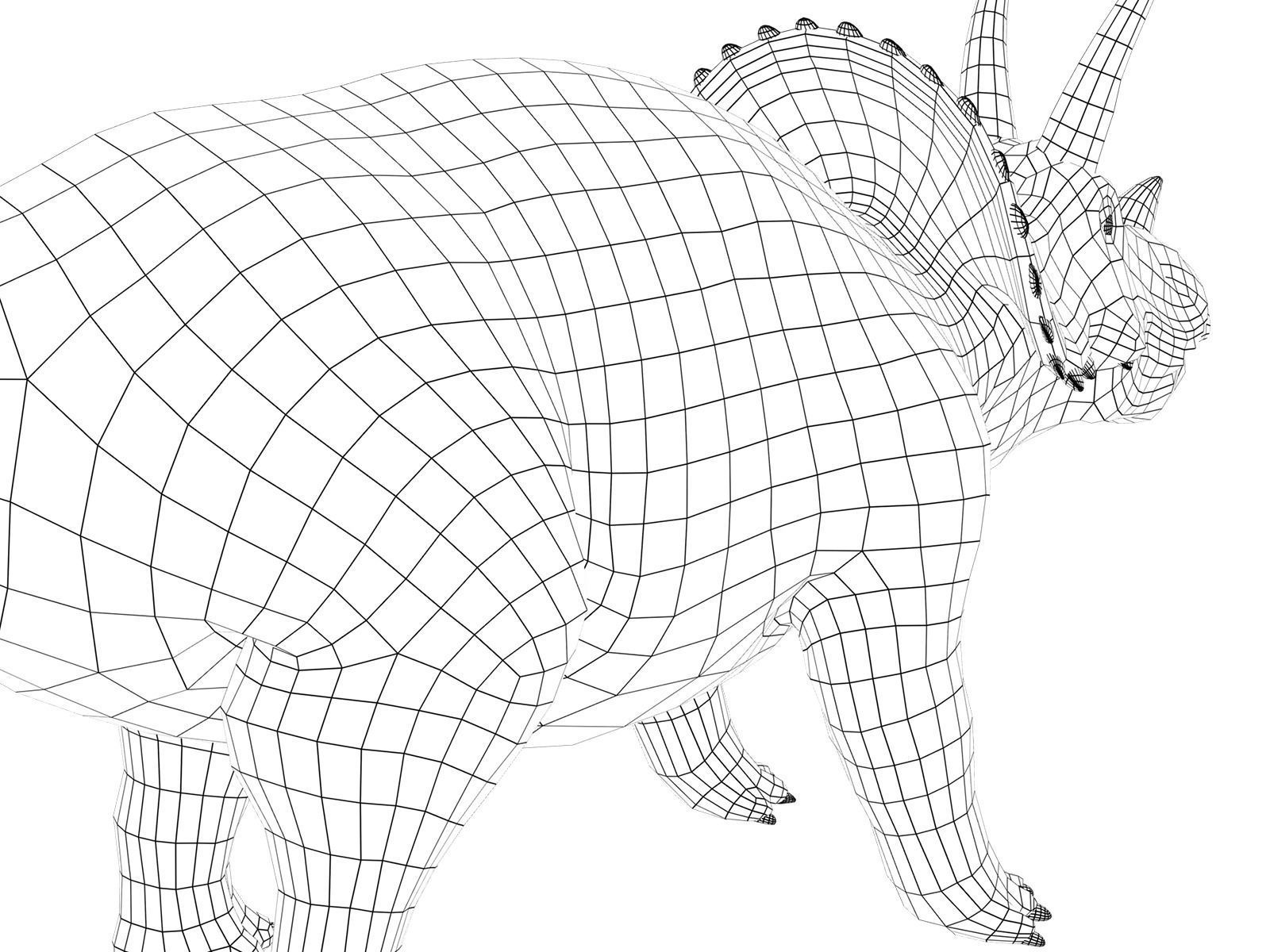 triceratops dinosaur Low-poly 3D model_11