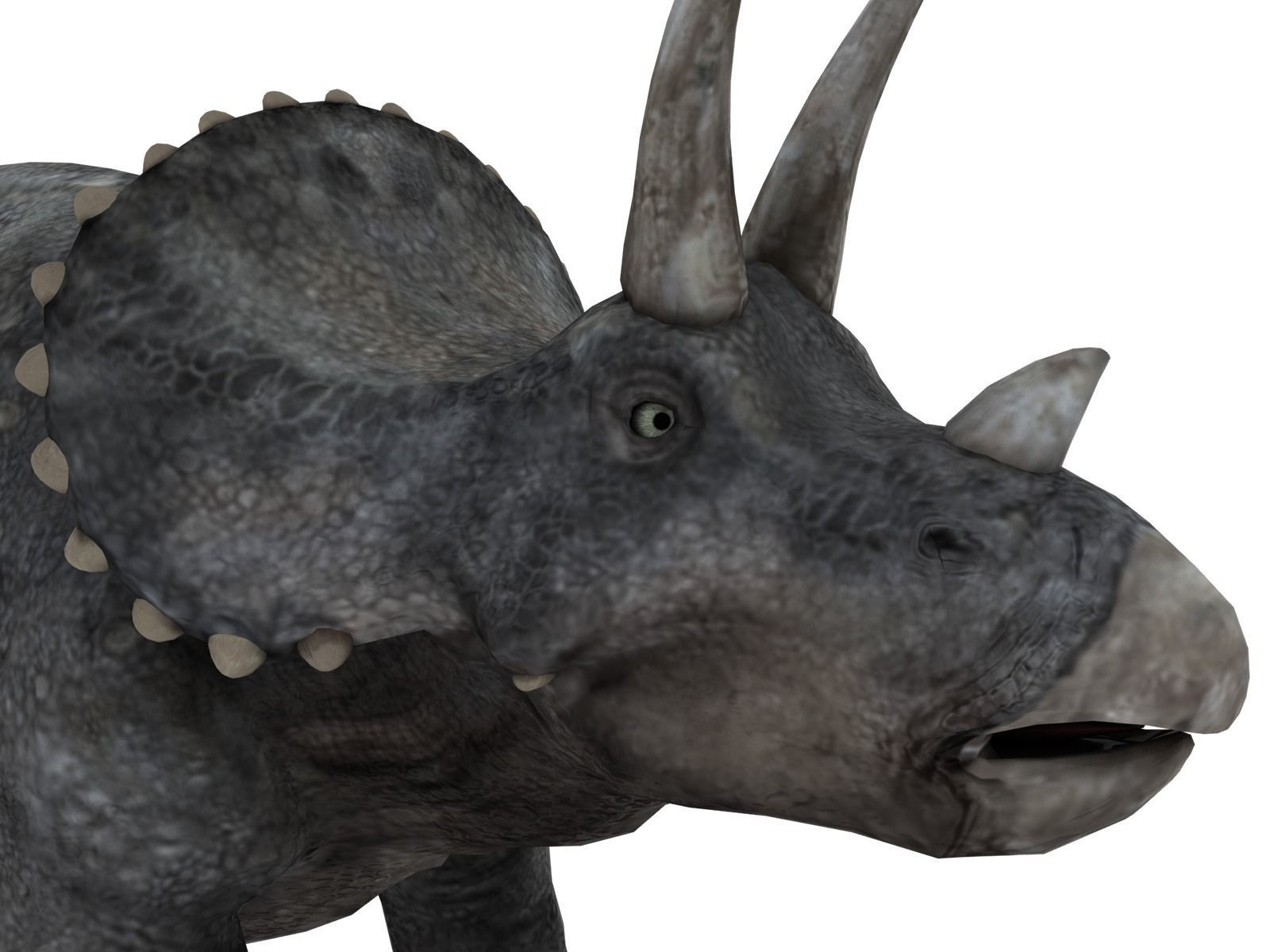 triceratops dinosaur Low-poly 3D model_4