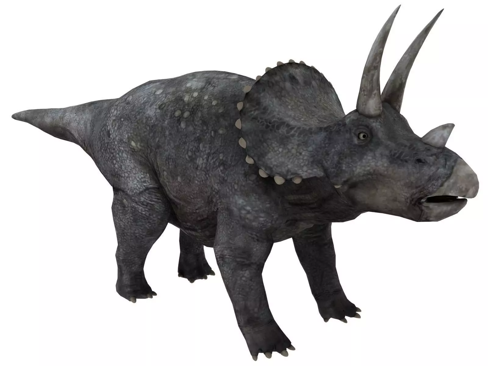 triceratops dinosaur Low-poly 3D model_0