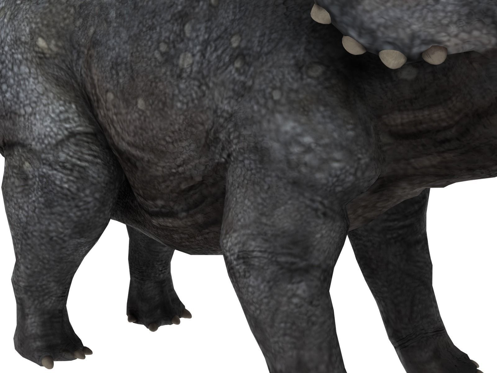 triceratops dinosaur Low-poly 3D model_5
