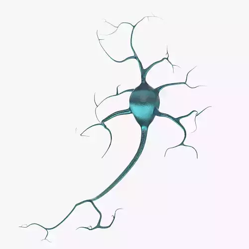 Neurons neuron 3D model