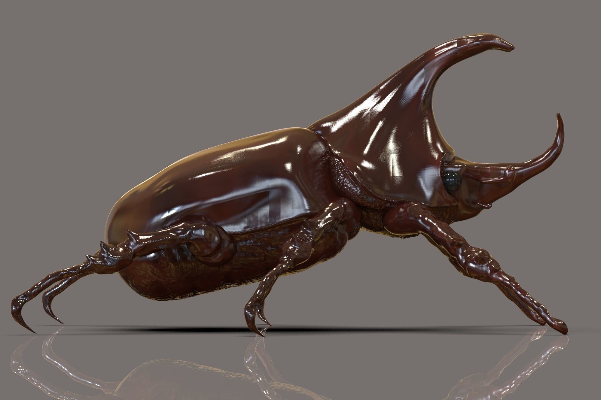 Dynastinae or Rhinoceros beetles with horns 3D model_2