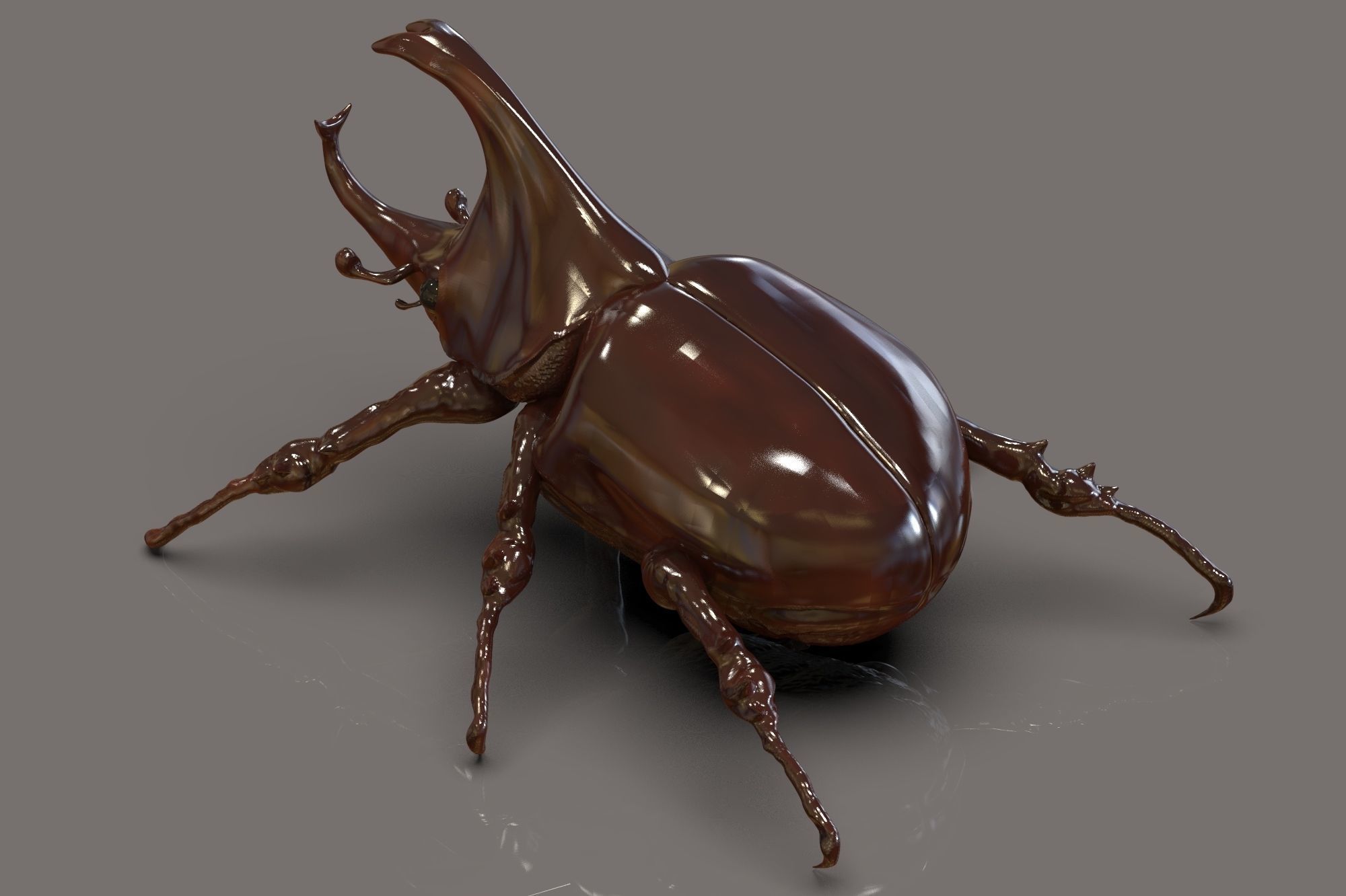 Dynastinae or Rhinoceros beetles with horns 3D model_1
