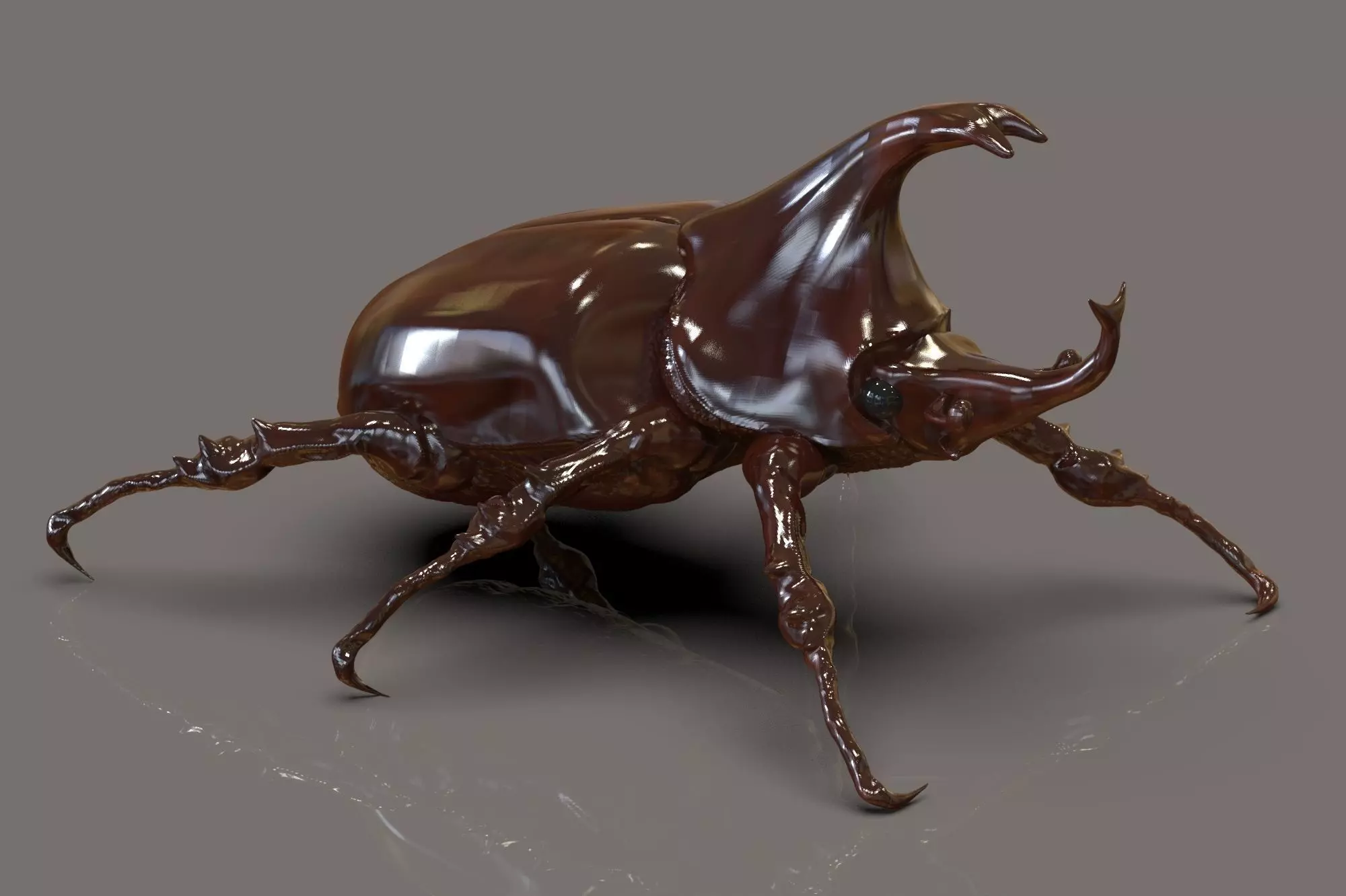 Dynastinae or Rhinoceros beetles with horns 3D model_0