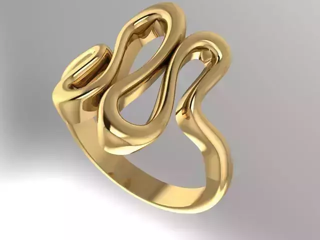 Free form fashion ring