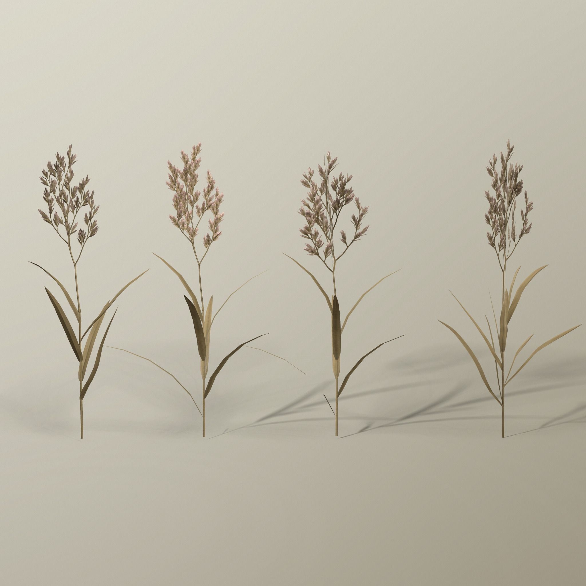 Blade of grass Low-poly 3D model_24