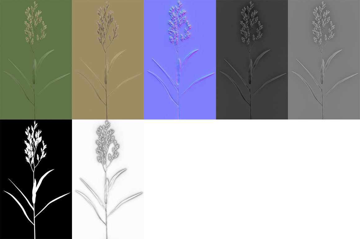 Blade of grass Low-poly 3D model_20