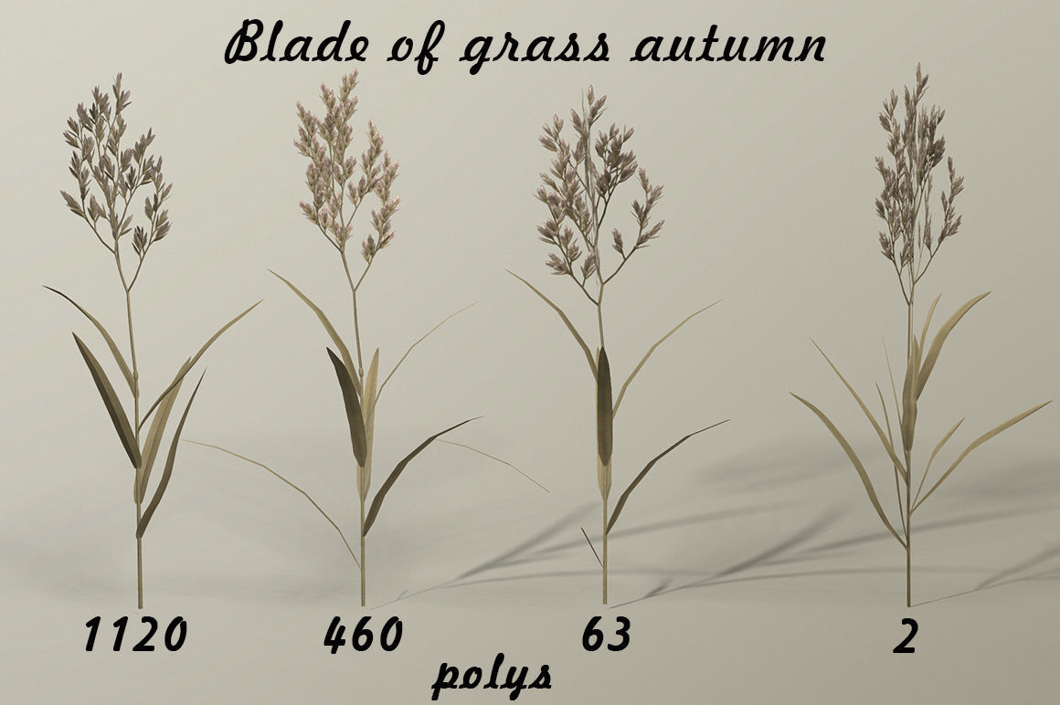 Blade of grass Low-poly 3D model_1