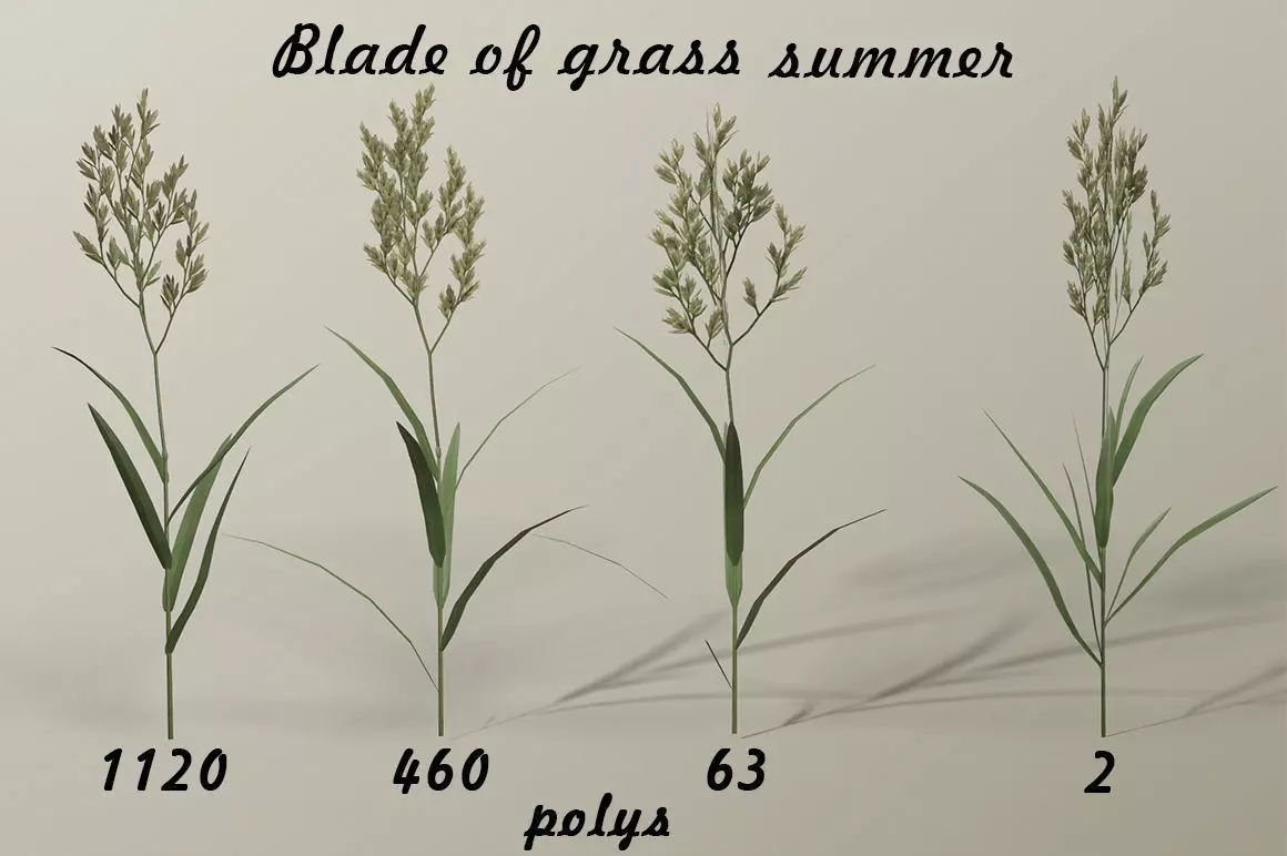 Blade of grass Low-poly 3D model_0