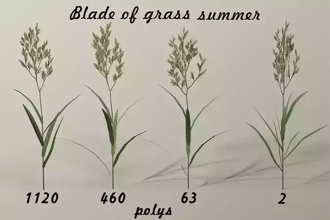 Blade of grass Low-poly 3D model