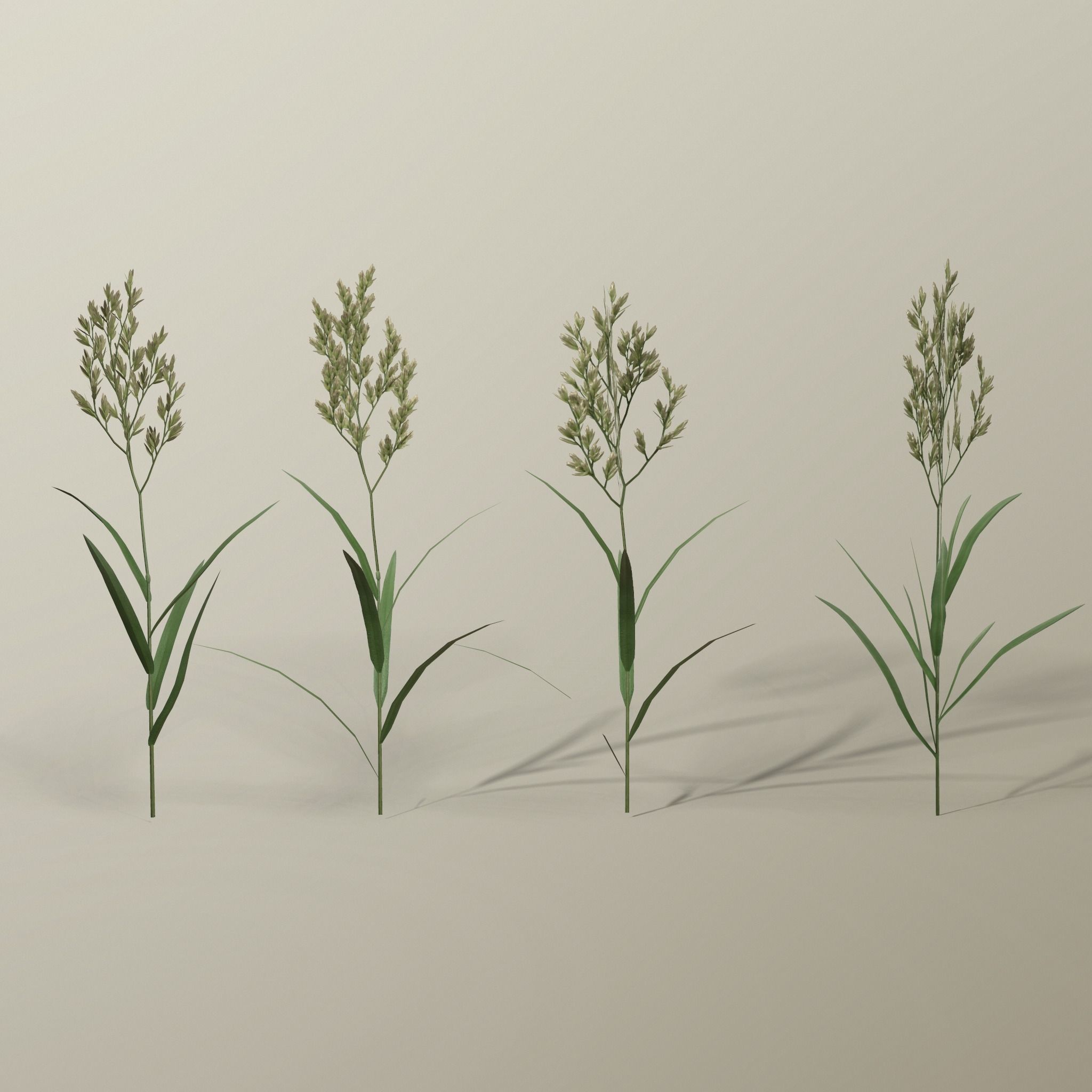 Blade of grass Low-poly 3D model_23