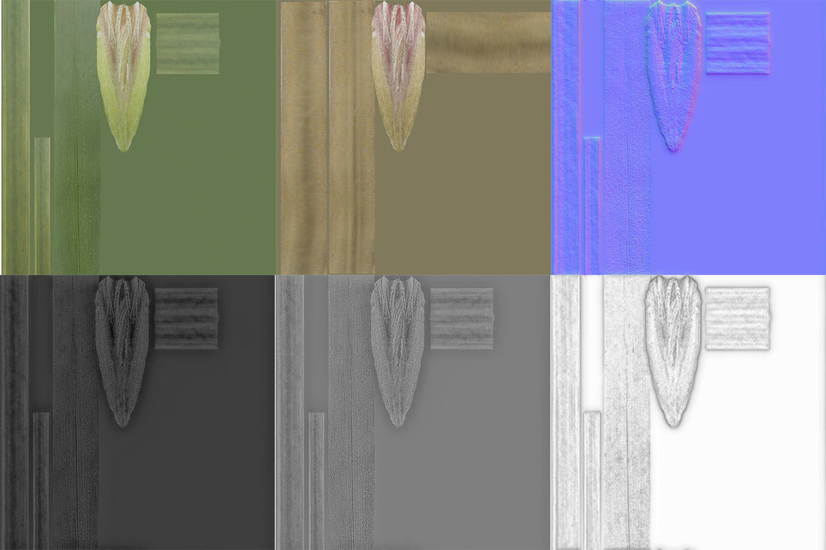 Blade of grass Low-poly 3D model_21