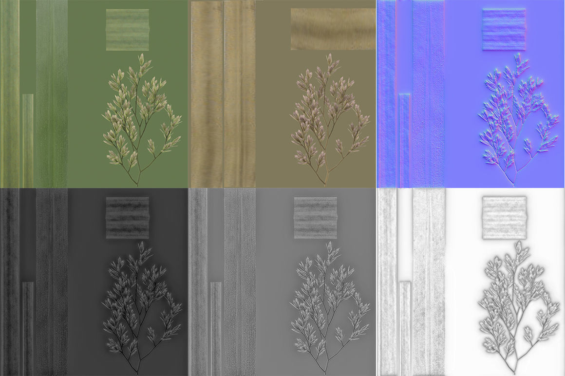 Blade of grass Low-poly 3D model_18