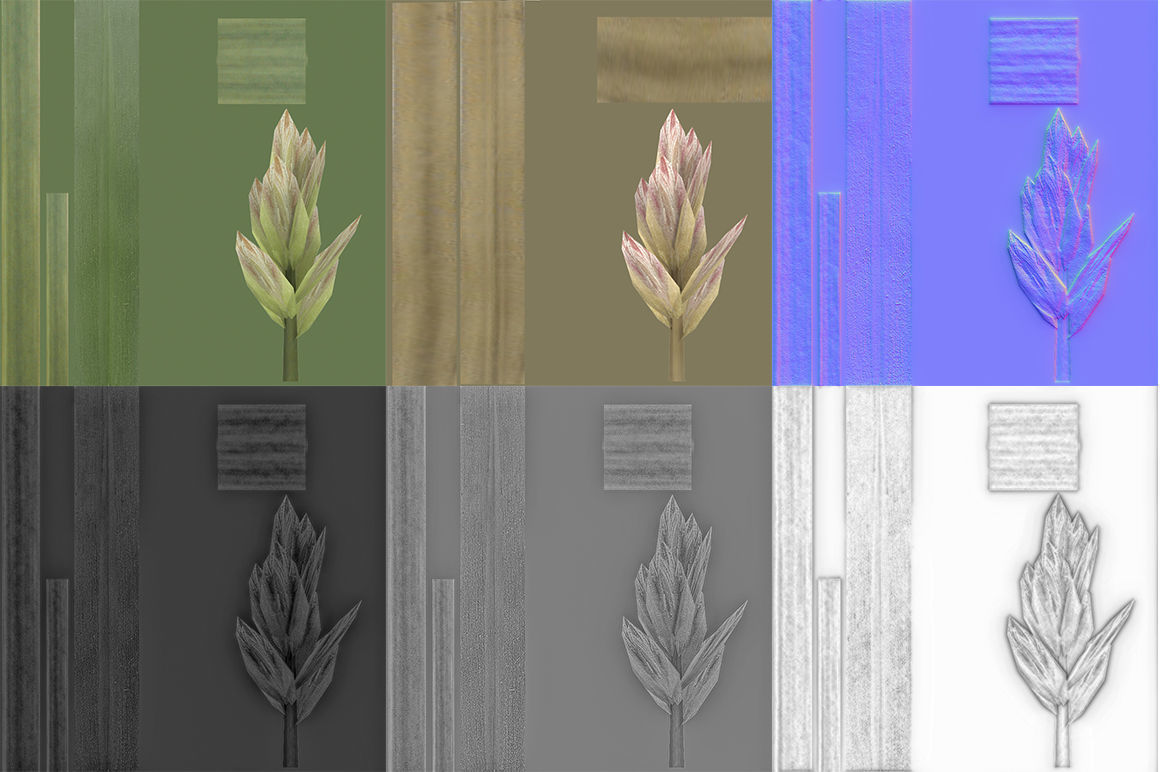 Blade of grass Low-poly 3D model_19