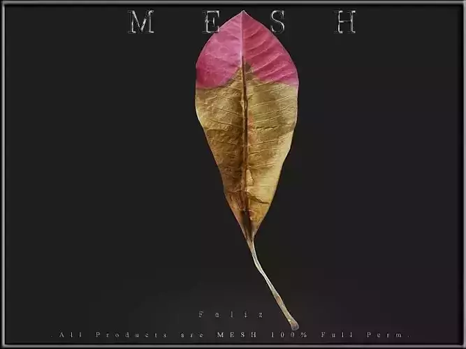 Autumn Leaf 02 Low-poly 3D model